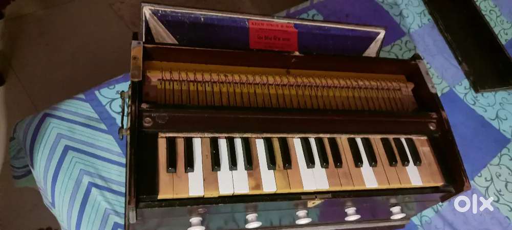 Harmonium MALE-MALE