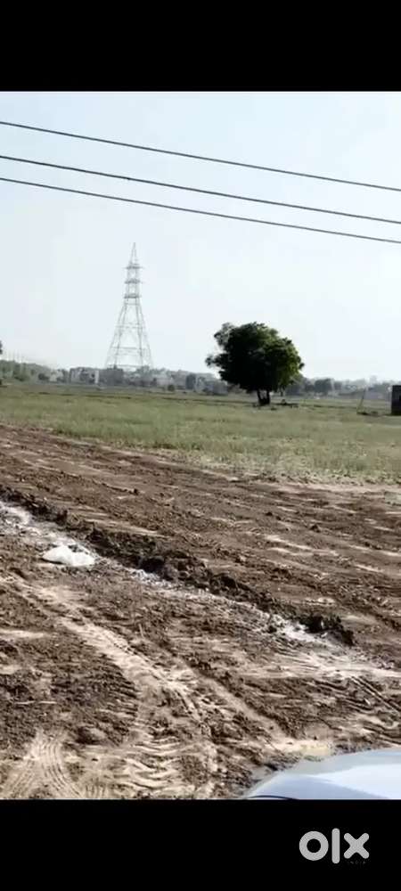 PLOTING ON SATYUG DARSHAN ROAD BHUPANI.