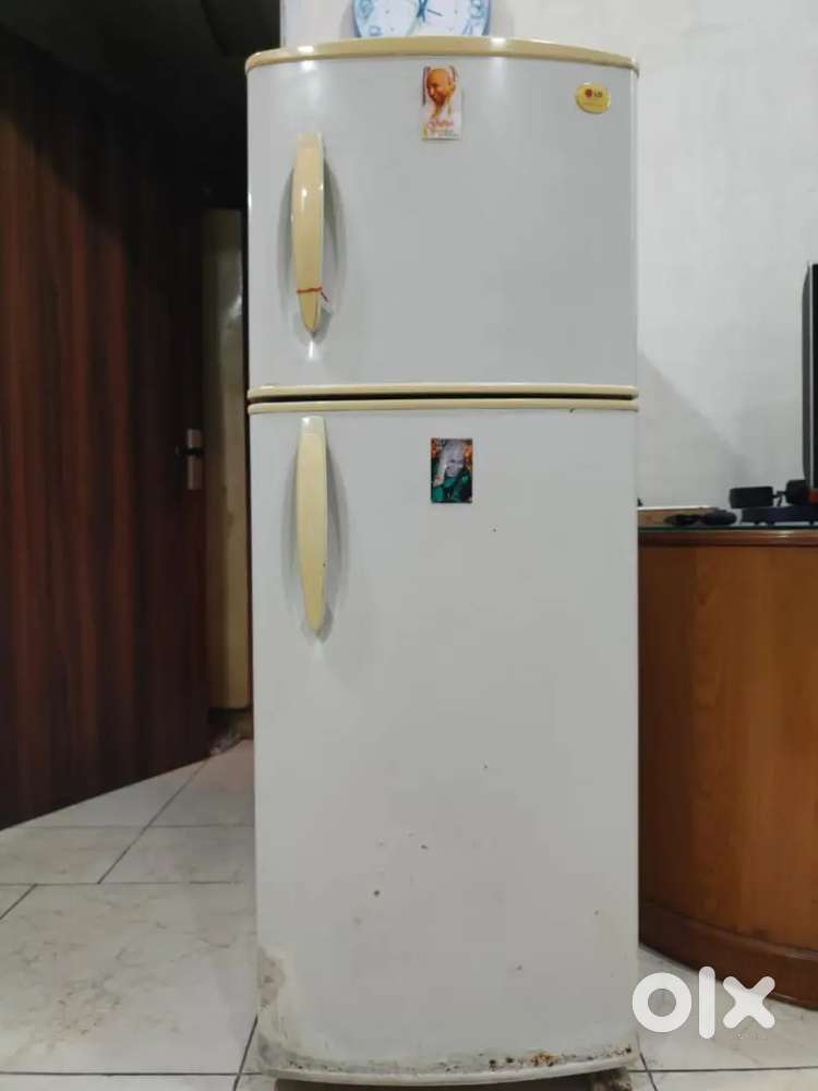 LG Double Door Fridge