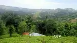 Vagamon 225 Cent LA Pattayam Land For Sale.