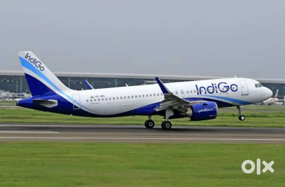 Urgent hiring for indigo airlines apply fast