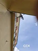 Dish TV Setup Box