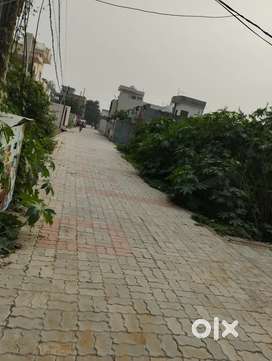Jotisar colony near st soldier Elite Convent School