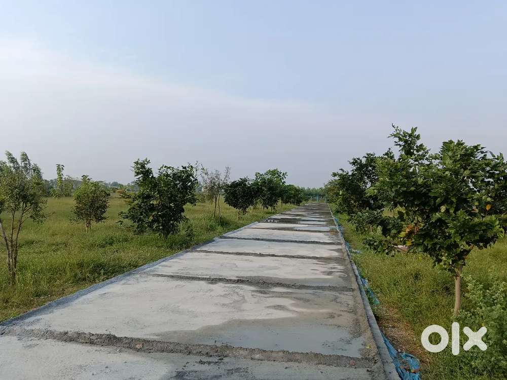 Farms gated community plots near by IIT, IISER INSTITUTES TIRUPATI