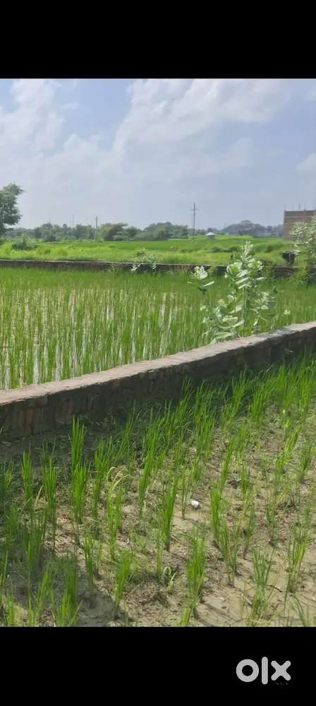 18 LAKH PER KATTHA MANG HAI