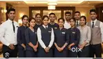 Work In restaurant