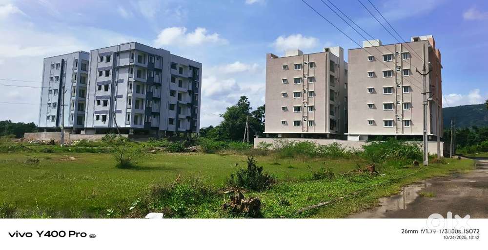 From House Hunting to Home Sweet Home