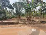 21 cent വസ്തു വില്പനയ്ക്ക്