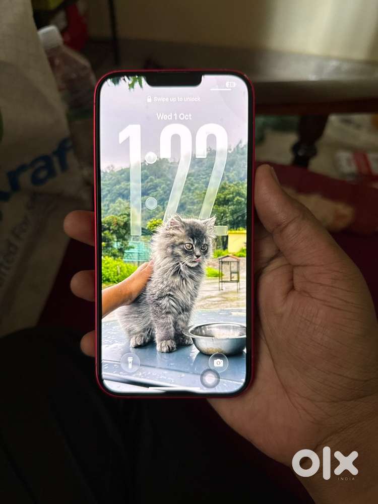 iPhone 14 Plus (128GB, Red)