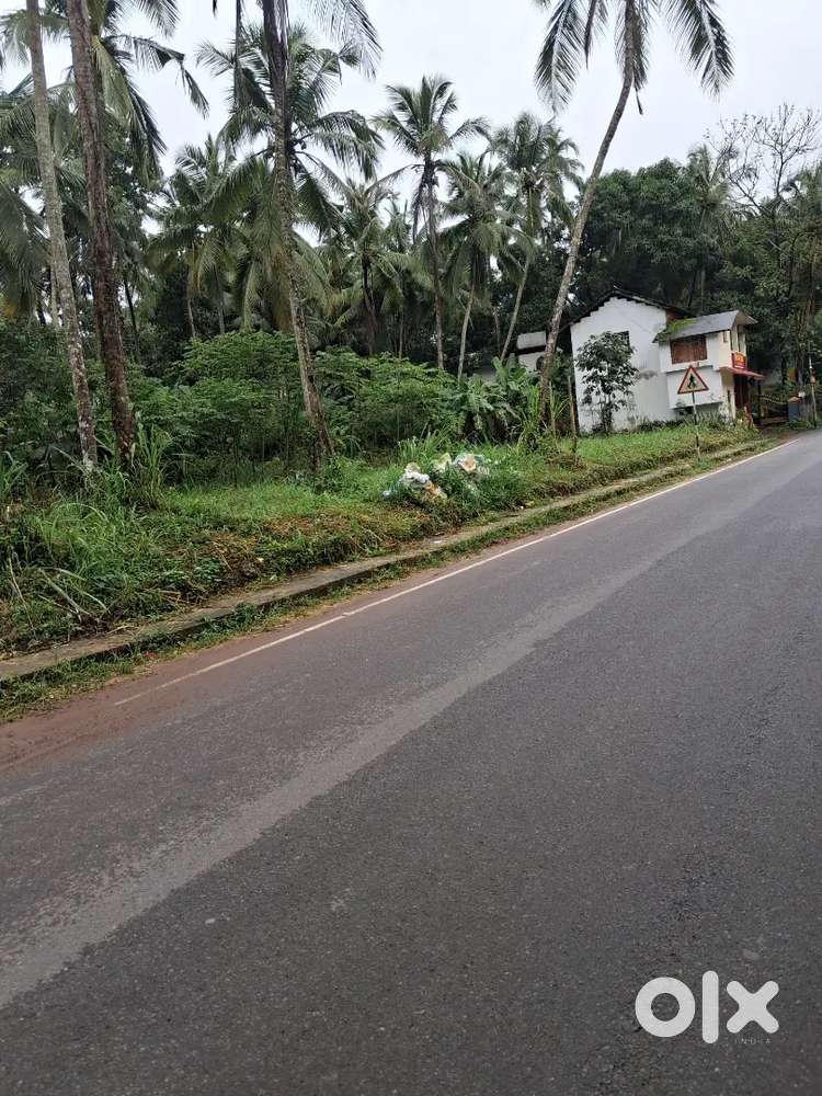 Dharmadam -melur bus route 8cent rented building for sale
