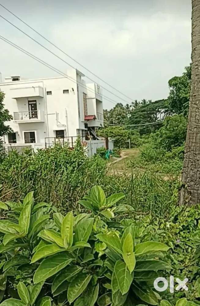 Uruvaiyar scholar school Nagapattinam bypass Nearby approved plot.