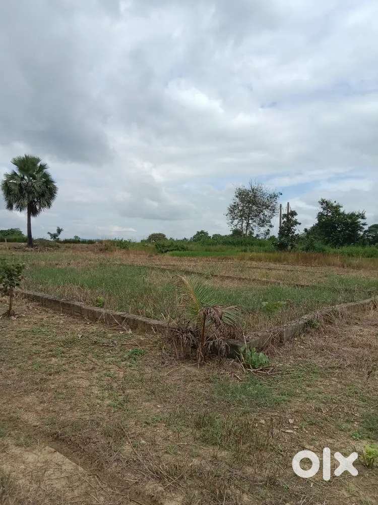 4.5 Decimal General plot for sale near Jamadarpali
