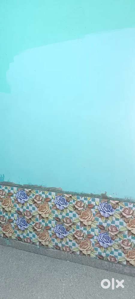 Only bachlor working girl allowed only room provided girl