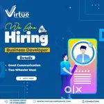 Business developer