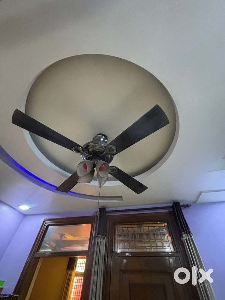 2 Usha fan