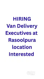 Van Delivery Executives