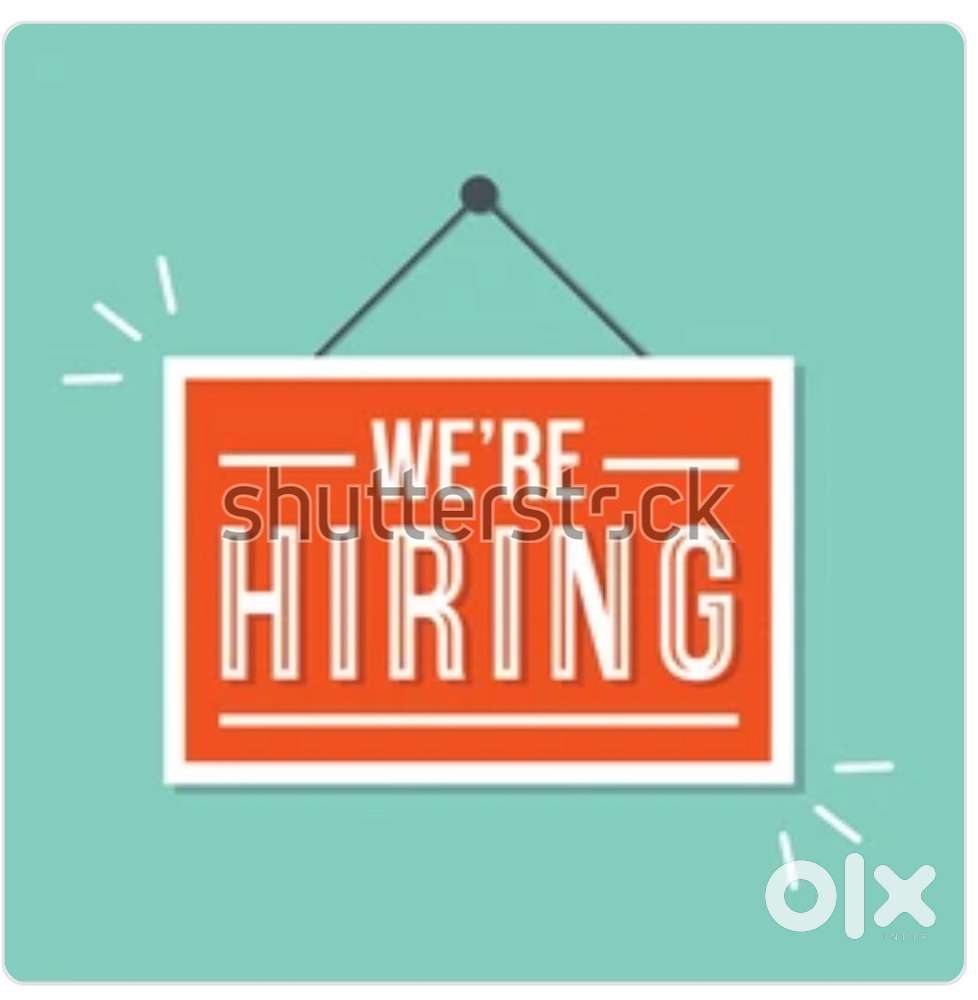 Accountant cum office coordinator