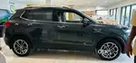 Skoda Kushaq 2022 Petrol Well Maintained