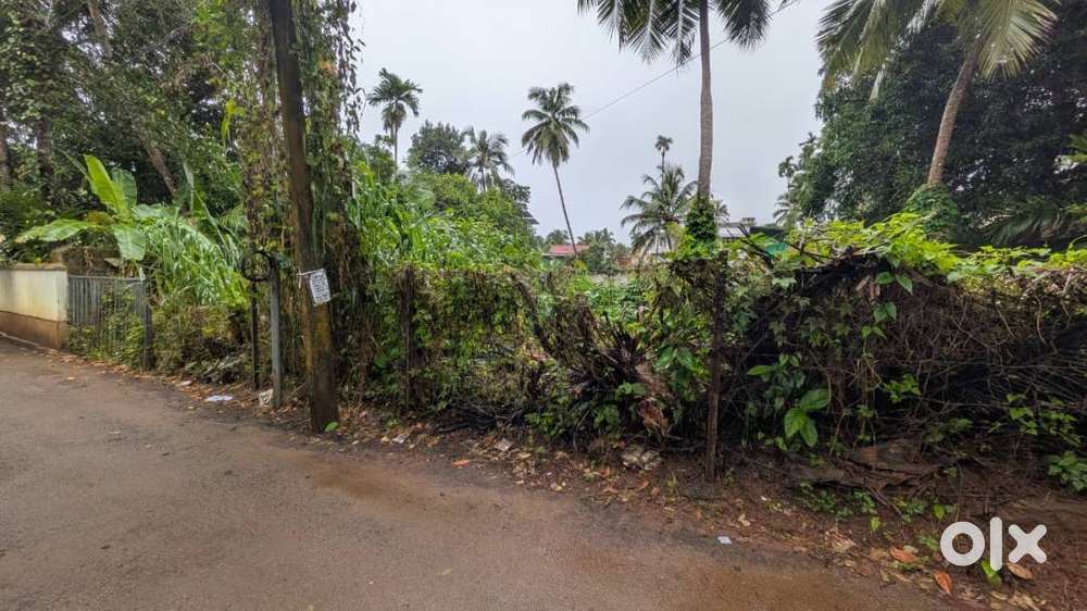 Plot for sale in Paroppadi