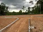 700meters NH-MC road ( nilamel pallikal road)