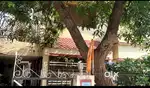 1 BHK Secured Campus