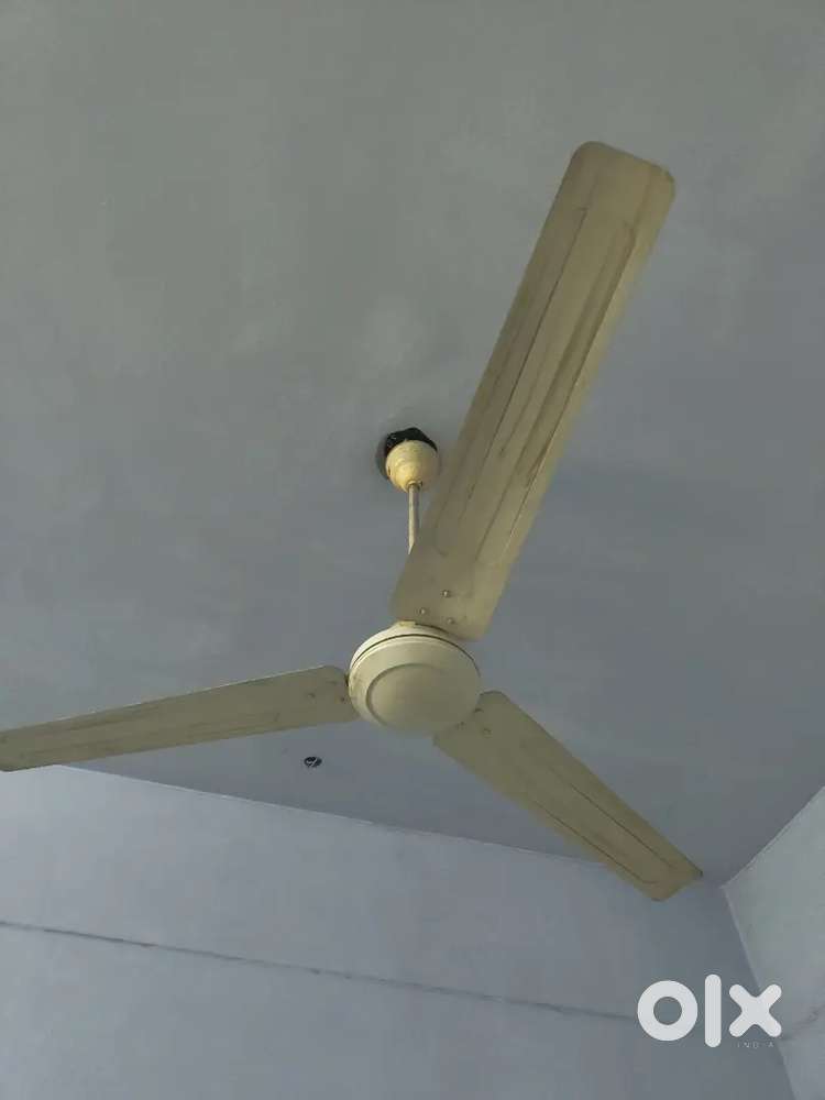 Fan with all accessories