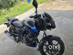 Pulsar 150 twin disc