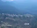Empty plot for camping in pulga