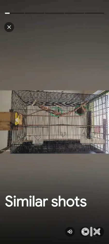 Big size, 4 ft Birds Cage 1, Medium size 2.5 ft 2