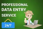 Data entry operator