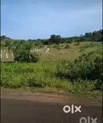 Plot for sale, samosha lay out