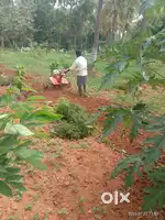 Managed Farm Land for sale at gouribidnur 6534sqft land for sale