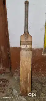 Willow wood bat