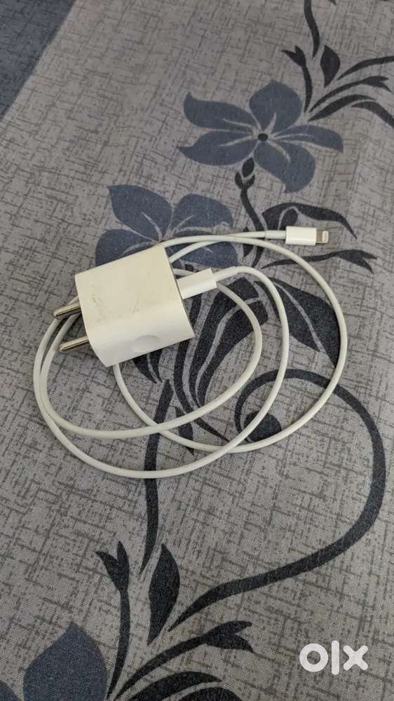 iPhone Charger