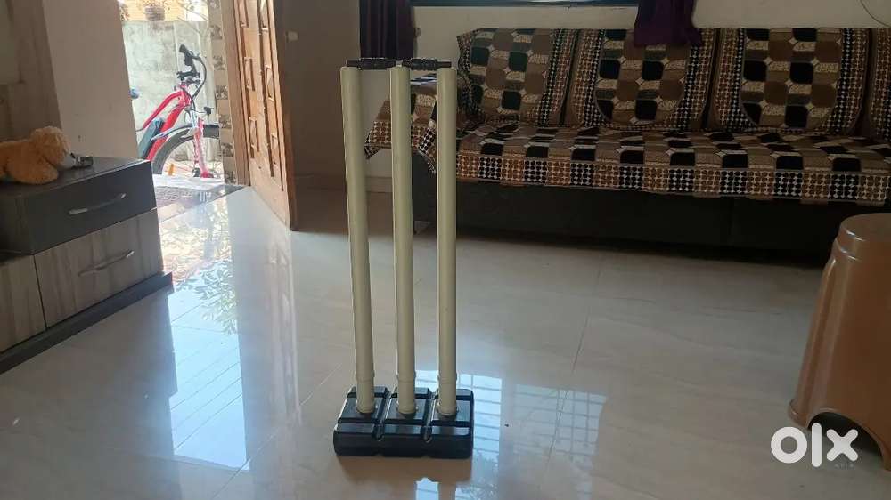 Stump with black and grey colour