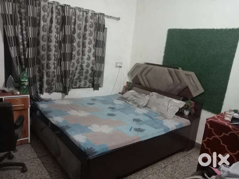 Need one room mate for sharing