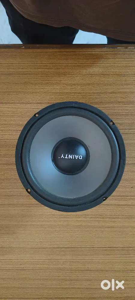 Dainty 8 inch woofer