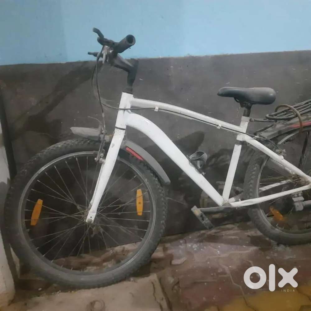 Hercules cycle (white colour)