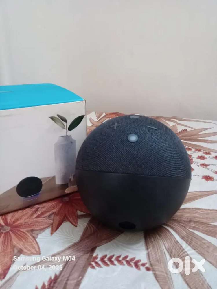 Amanzon Alexa