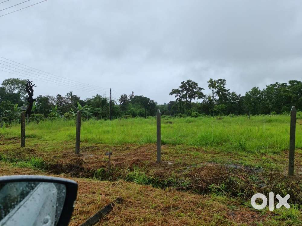 NA Plots for sale in Ambeli, Dodamarg