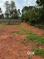 30 cent of land