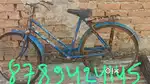 Avon cycle 310
