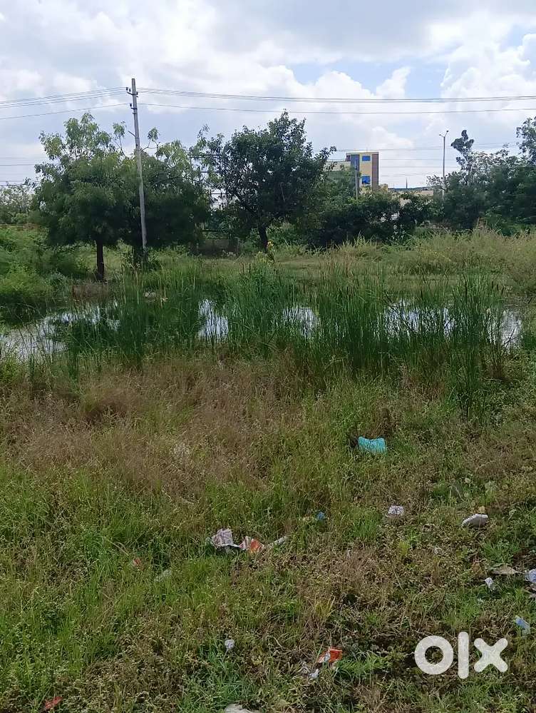 Sale near airport port