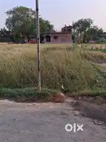 जुनैद गंज बाईपास