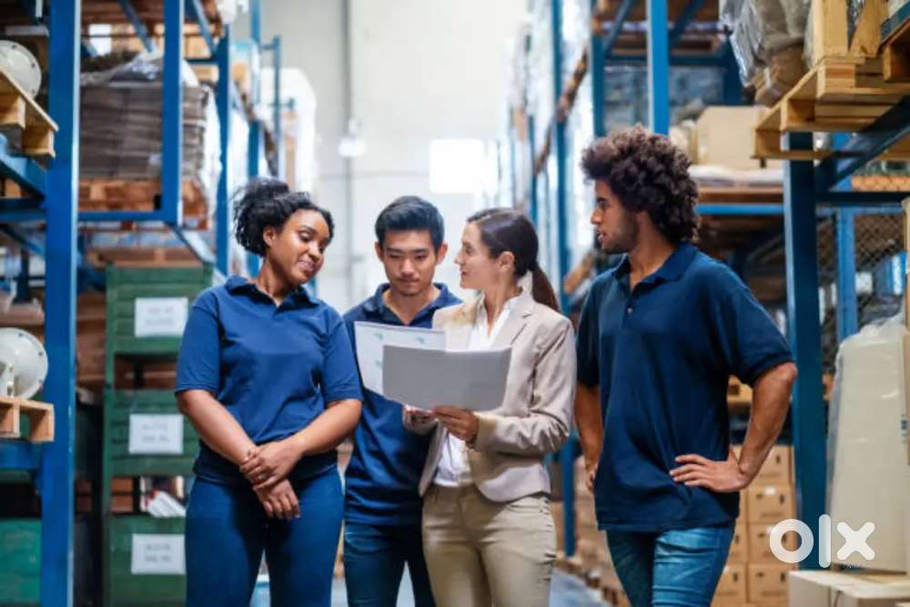 Urgent hiring freshers and experience candidates