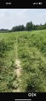 Agriculture land