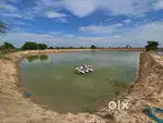 Feed Boy for shrimp farm