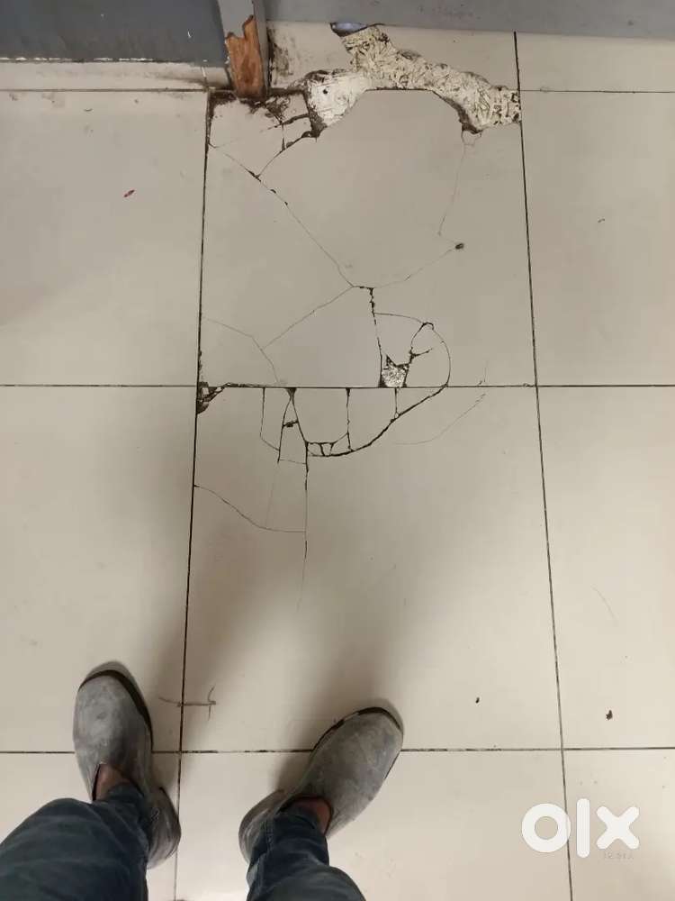 Grinite tails marble fitting and home repairing