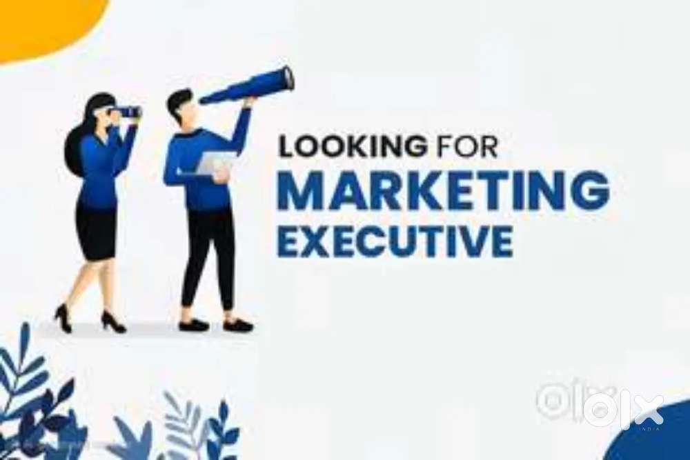 Marketing Executive
