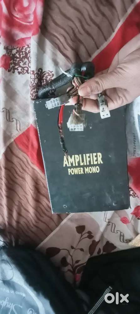 एवली फॉर्म